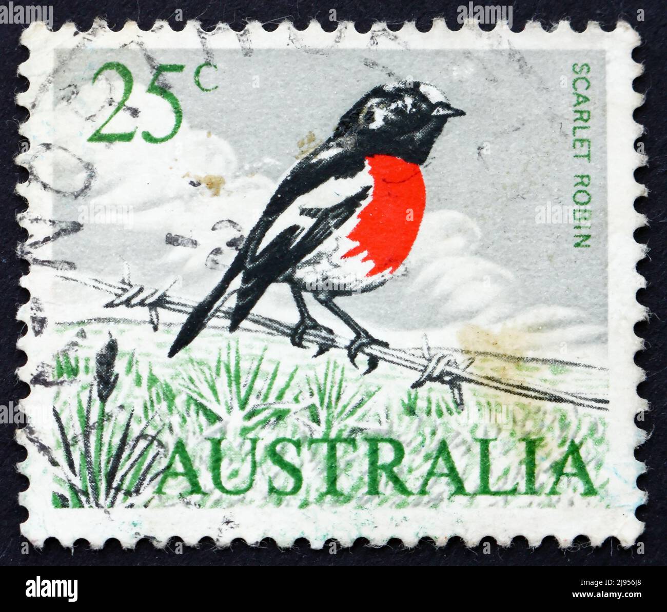 AUSTRALIE - VERS 1966 : un timbre imprimé en Australie montre Scarlet Robin, Petroica Boodang, passerine Bird, vers 1966 Banque D'Images