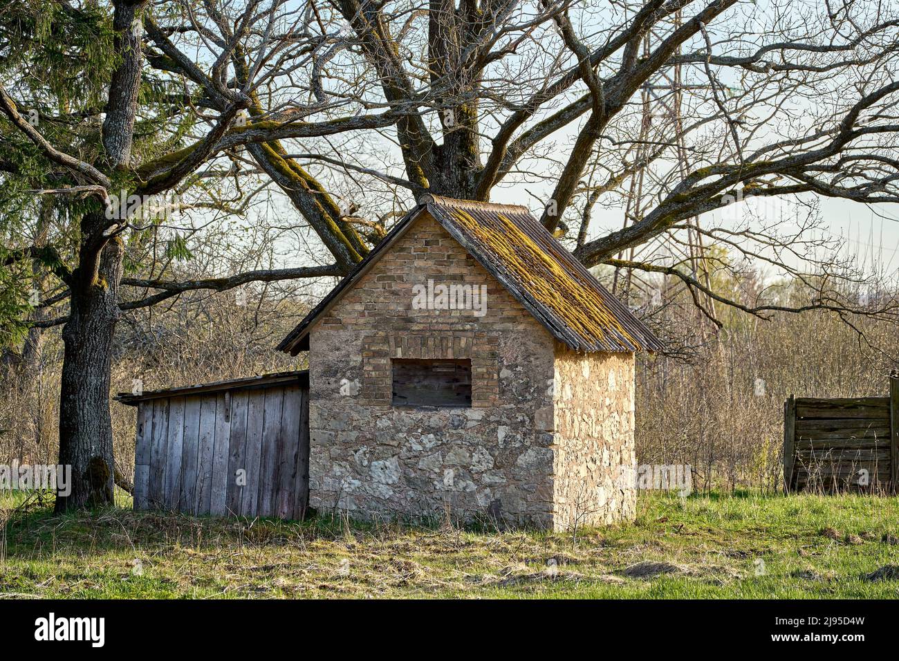 Ancienne maison abandonnée en Lettonie faite de pierre au printemps. Banque D'Images