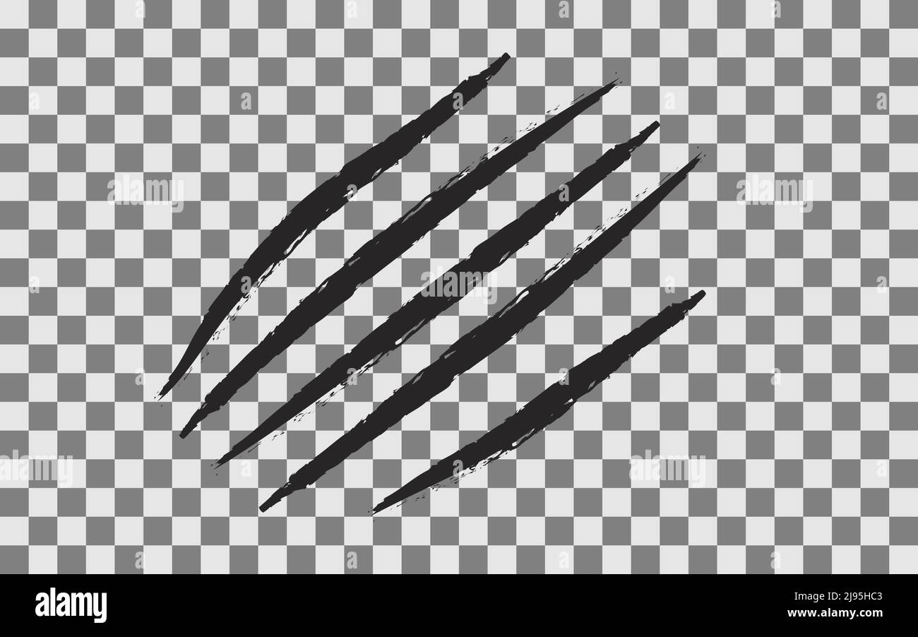 Griffe rayure transparente fond cinq ongles trace chat tigre rayures patte forme Noir sanglant griffes animal rayure piste plate conception isolée Illustration de Vecteur