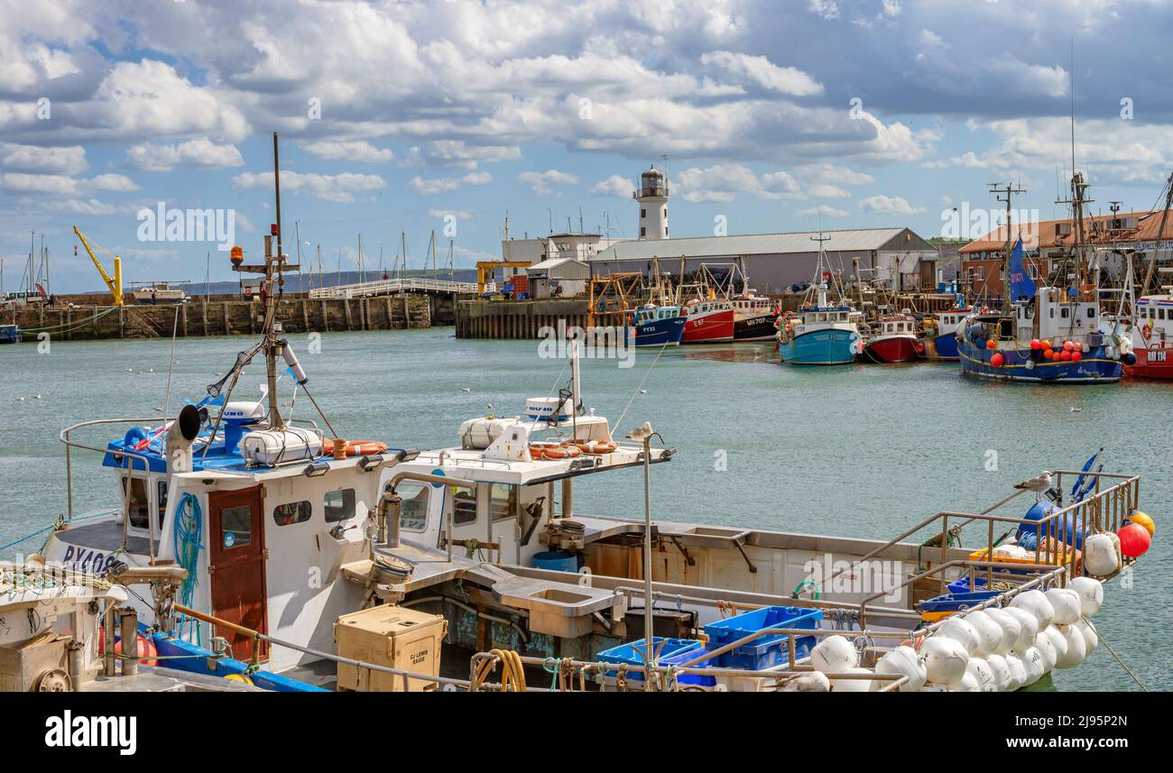 Deux petits chalutiers sont au premier plan d'un port de pêche. Un phare s'élève au-dessus d'un toit et un ciel nuageux est au-dessus. Banque D'Images