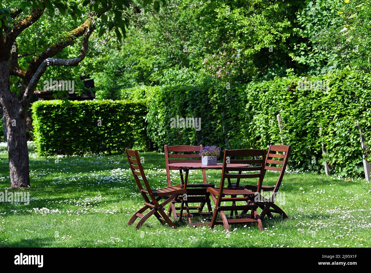 Sièges dans un jardin luxuriant Banque D'Images