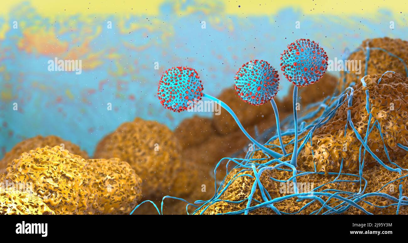Gros plan microscopique du mildiou croissant - illustration 3D Banque D'Images