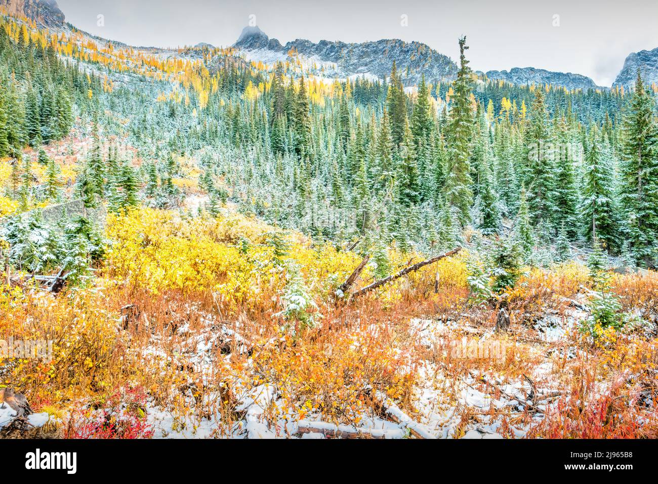 North Cascades National Park pendant l'automne, état de Washington, États-Unis Banque D'Images