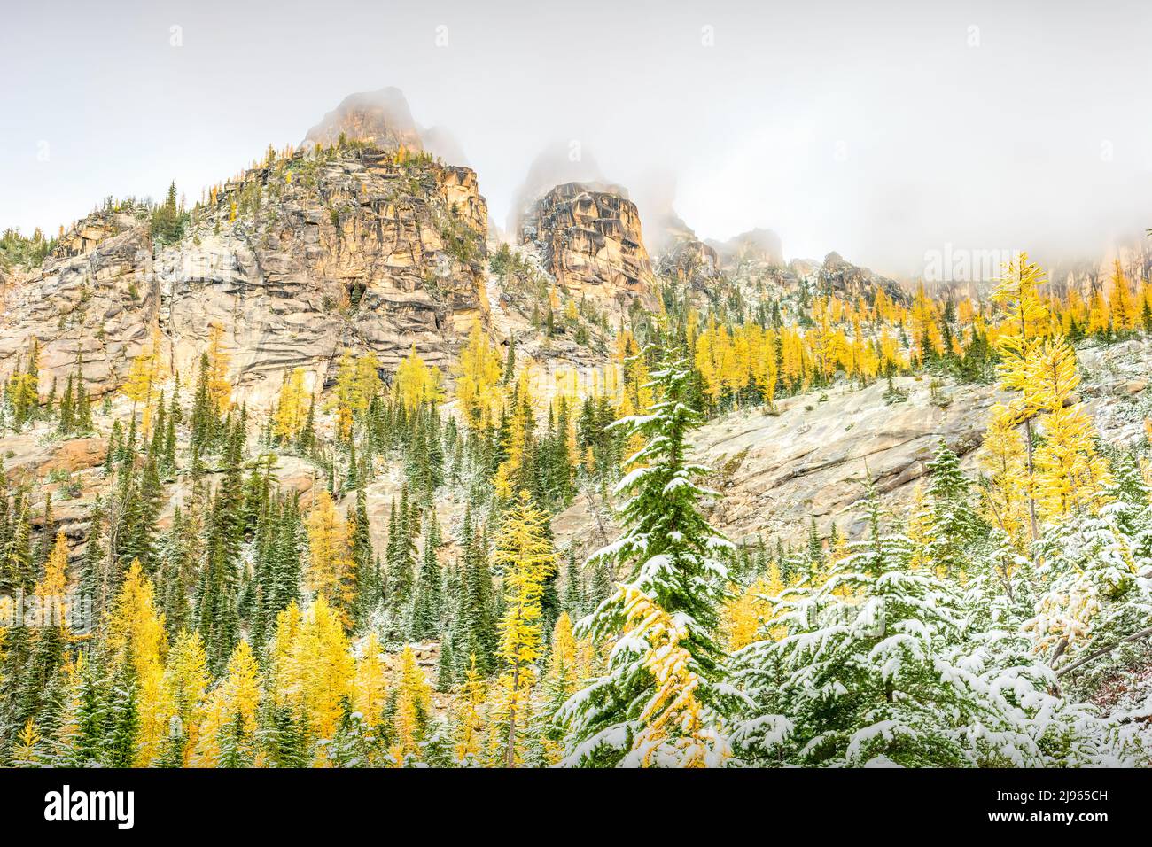 North Cascades National Park pendant l'automne, état de Washington, États-Unis Banque D'Images