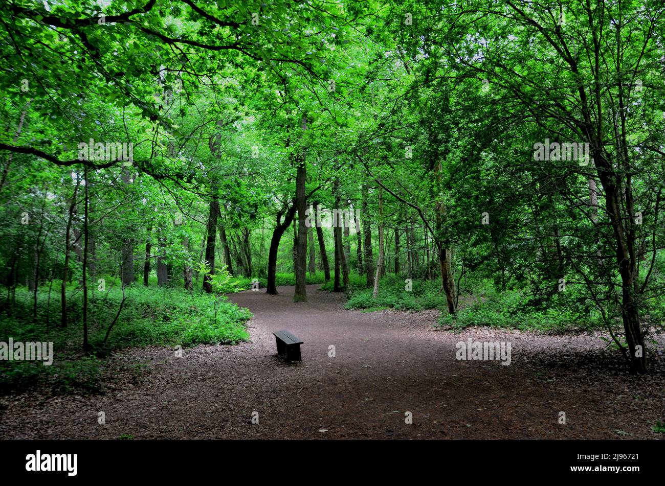 Parc de campagne de Highwood Banque D'Images