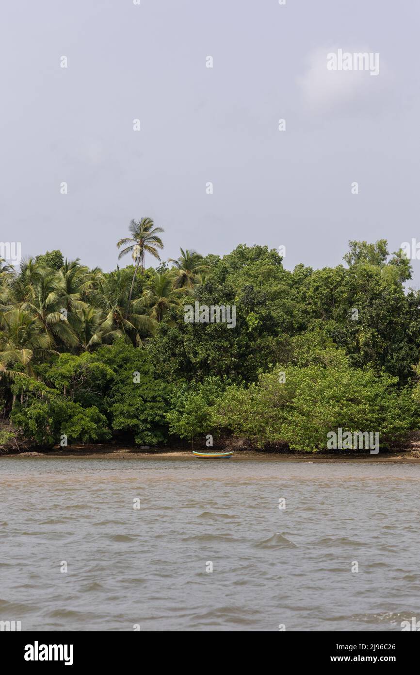 Vue sur les rives pittoresques de Karli pendant la promenade en bateau sur la rivière Karli. Banque D'Images