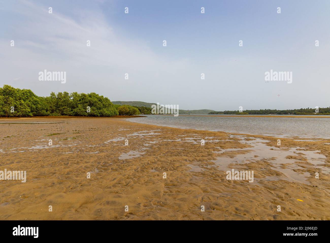 Zones peu profondes sur la rivière Karli pendant la saison estivale à Devbag, Malvan, Maharashtra Banque D'Images
