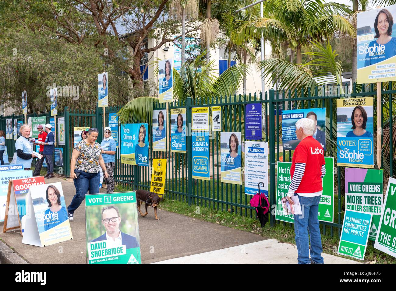 Jour du scrutin des élections fédérales australiennes. Les Australiens, qui sont au siège de Mackellar, se dirigent vers les sondages à l'école primaire d'Avalon Beach , pour voter aux élections fédérales. Mackellar, au nord de Sydney, est détenu par le député libéral Jason Falinski. De nombreux bénévoles politiques se rassemblent autour de l'entrée du bureau de vote. Le vote se termine à 6pm ce soir. Samedi 21st mai 2022. Credit Martin Berry@alamy Actualités en direct. Banque D'Images