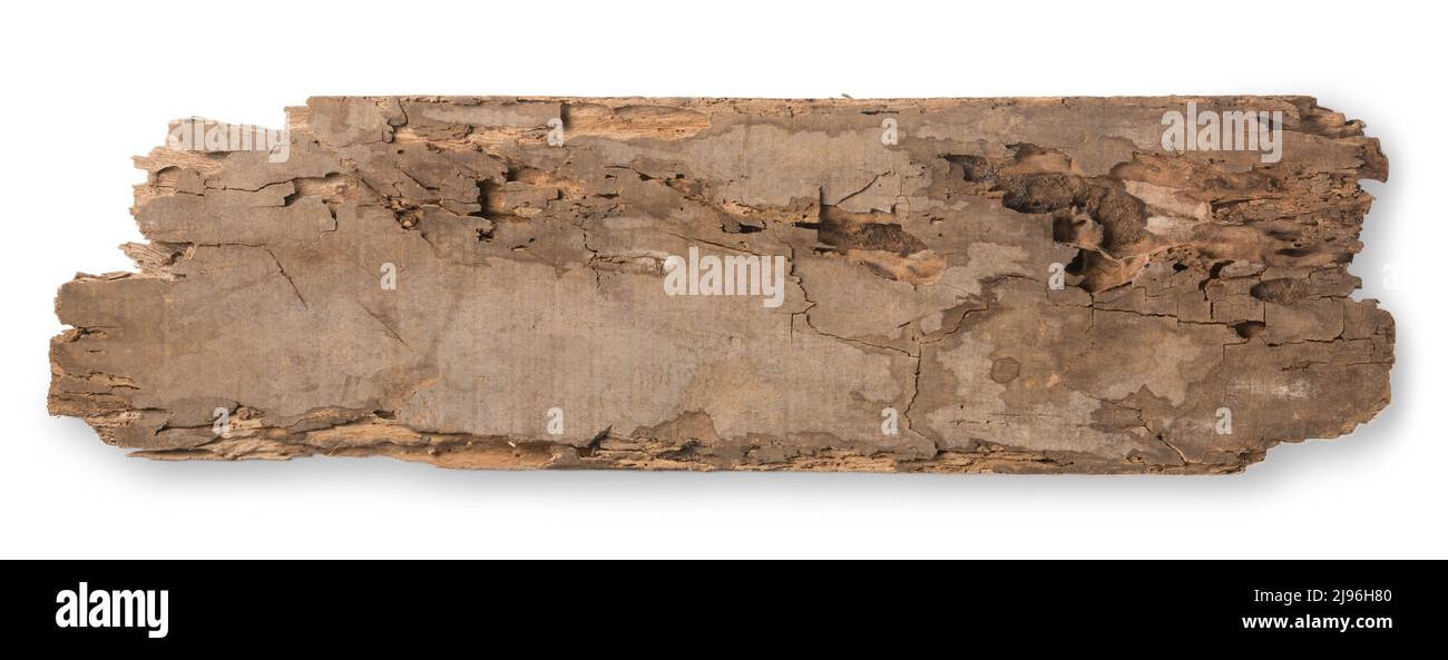 pièce de vieux bois pourri, termites, bois abîmé et délabré panneau isolé sur fond blanc Banque D'Images