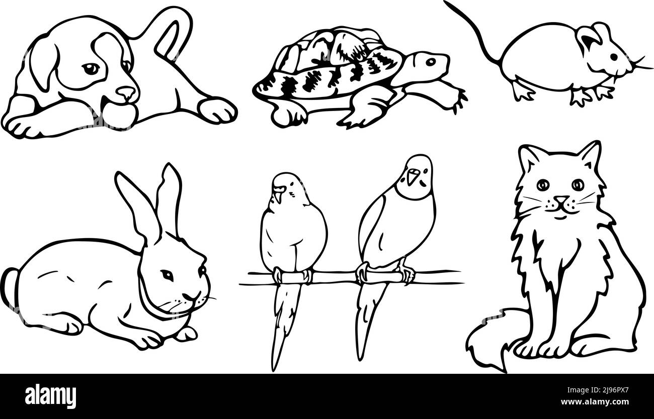 Illustration vectorielle avec collection d'animaux de compagnie. Chat, chien, perroquets, souris, lapin et tortue. Design pour livre de coloriage. Illustration de Vecteur