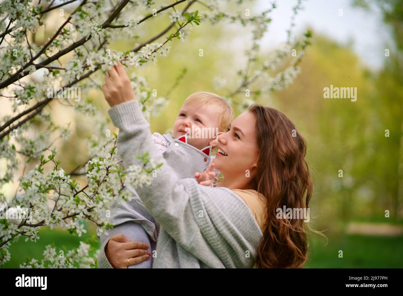 mère tenant un bébé dans ses bras dans un jardin de cerisiers en fleurs Banque D'Images