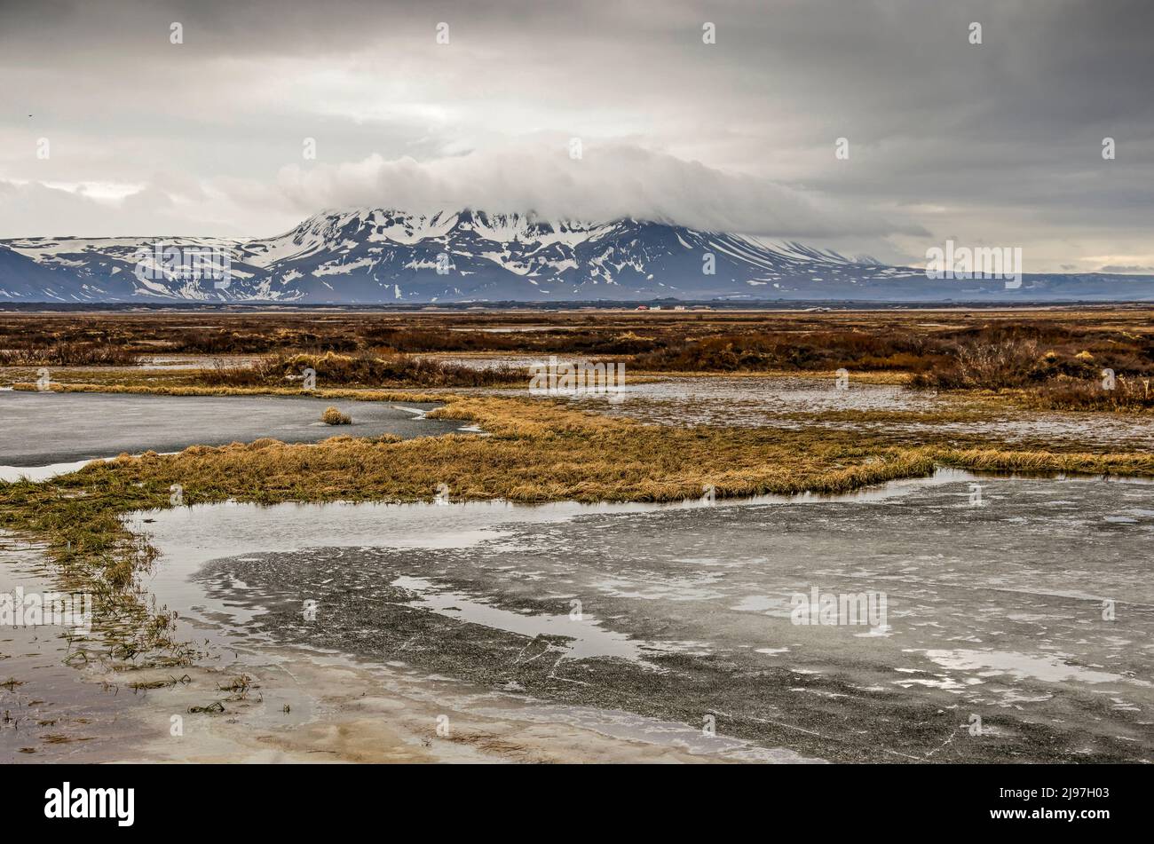 Paysage avec des flaques et des ruisseaux partiellement gelés ainsi que la basse végétation et en arrière-plan une chaîne de montagnes enveloppée par des nuages, près du lac Myv Banque D'Images