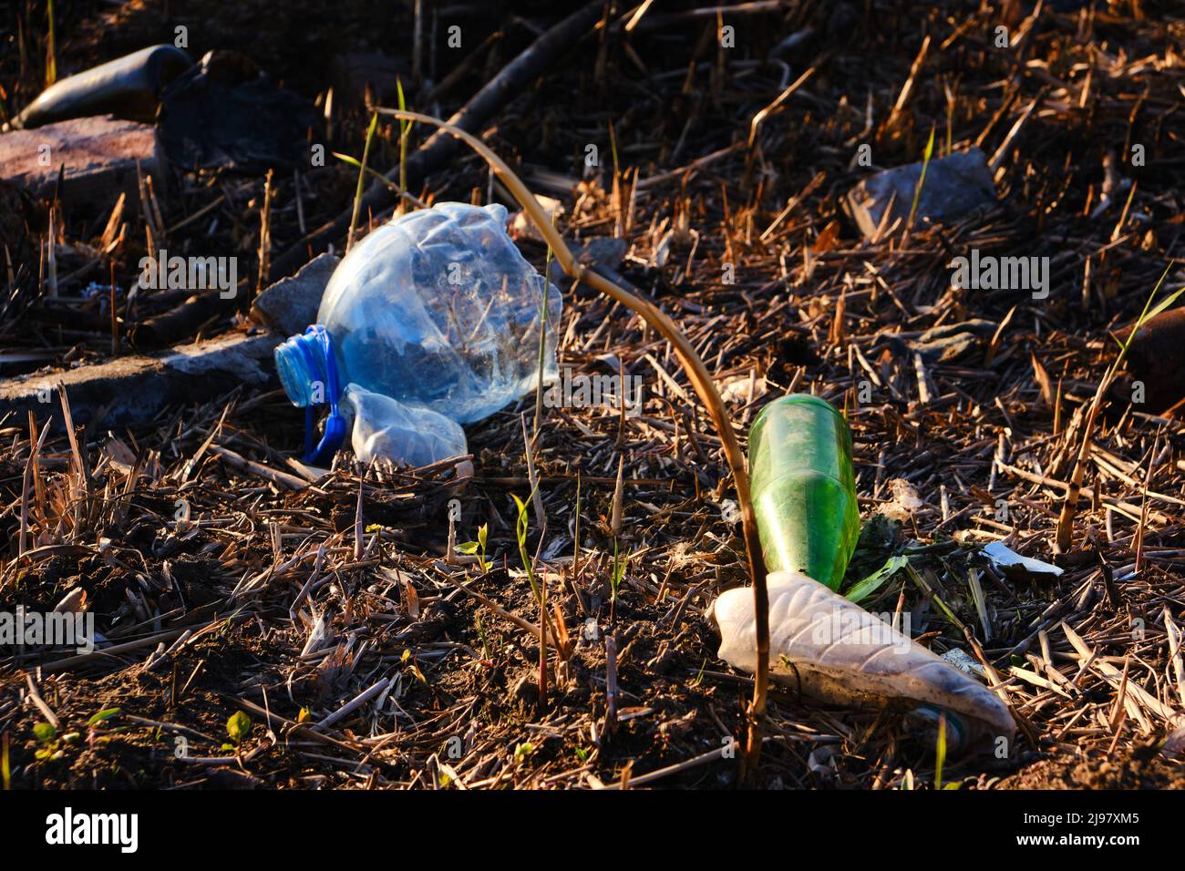 Déchets de plastique et de verre, pollution de l'environnement et de la nature Banque D'Images