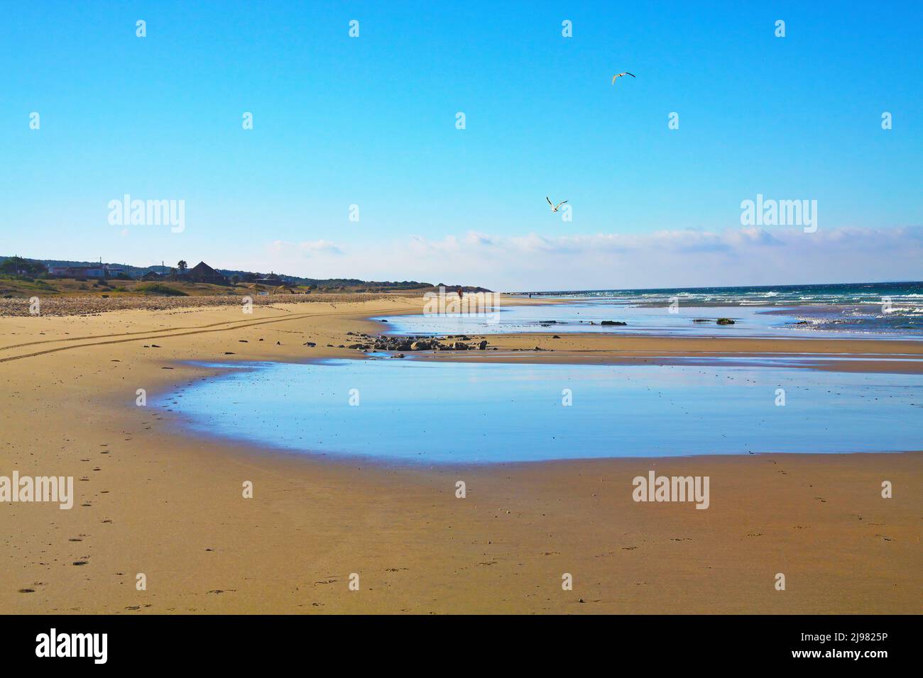 Ambiance matinale calme à l'océan atlantique, plage de sable vide déserte naturelle, flaques d'eau à marée basse, dunes - Zahara de los Atunes, Costa de la Luz, Espagne Banque D'Images