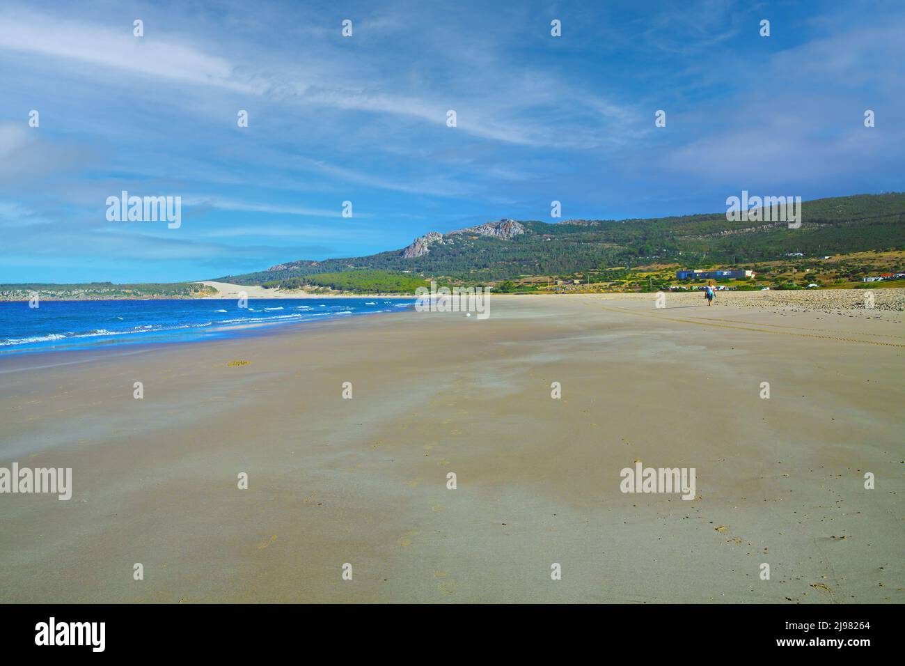 Calme matin scène de plage vide, marée basse mer atlantique, collines vertes - Zahara de los Atunes, Costa de la Luz, Espagne Banque D'Images