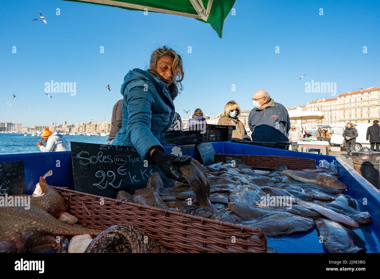 France. Marseille. Bouche-du-Rhône (13) Marseille. Vente de poisson sur le vieux port de Marseille Banque D'Images