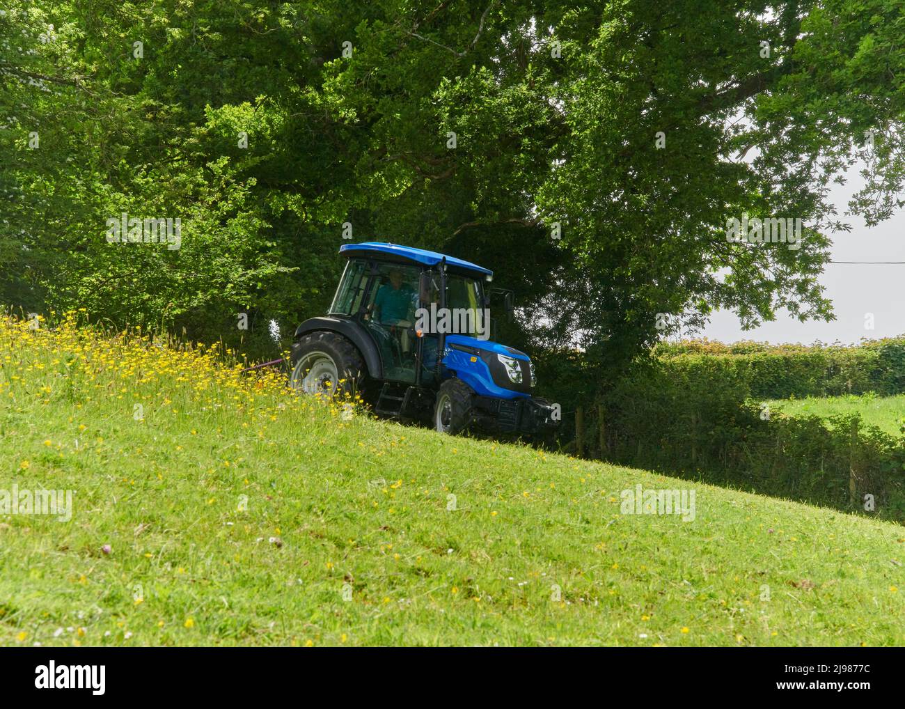 Remplissage des champs dans Devon Banque D'Images