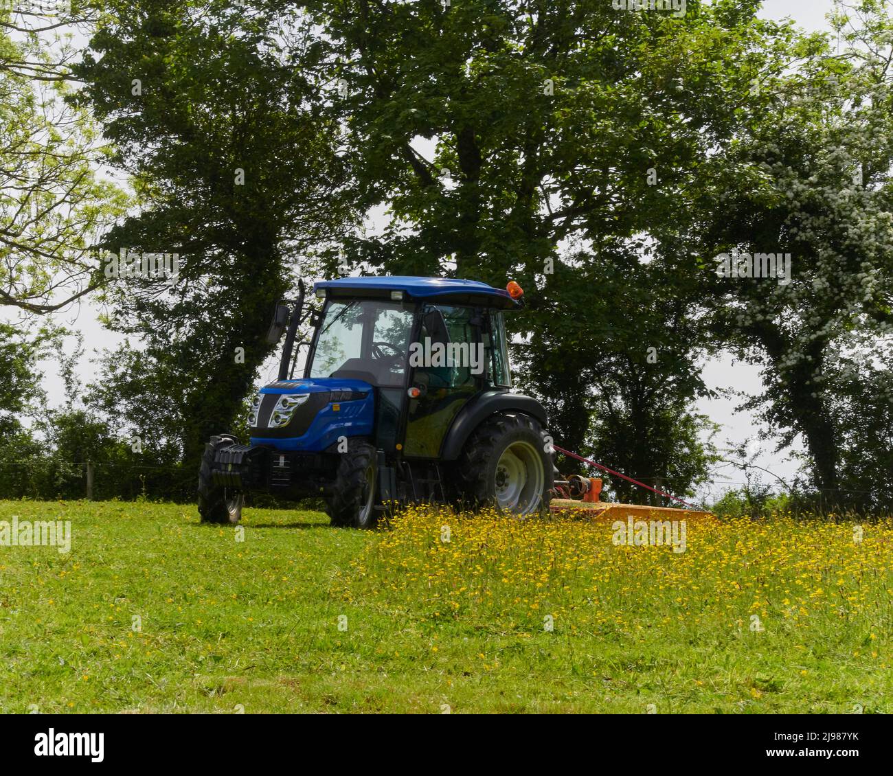 Remplissage des champs dans Devon Banque D'Images