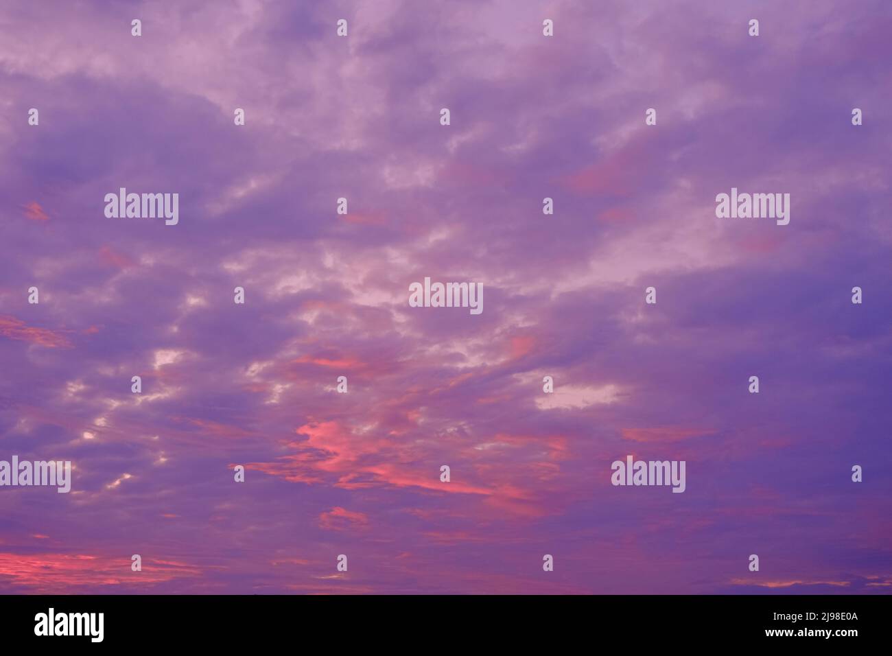 Magnifique ciel violet au crépuscule. Banque D'Images