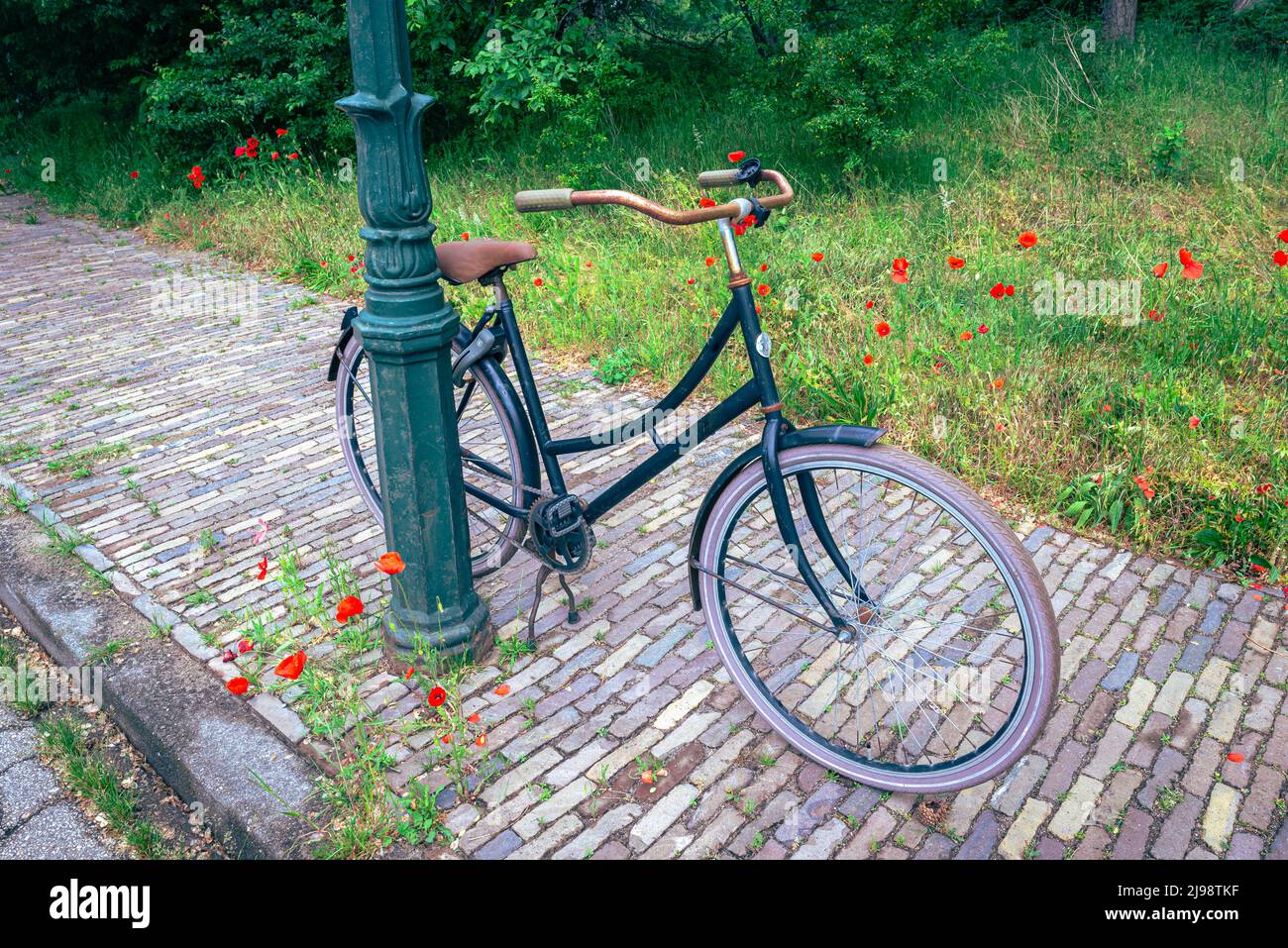 Vue idyllique d'un vélo laissé derrière un lampadaire avec des coquelicots rouges Banque D'Images