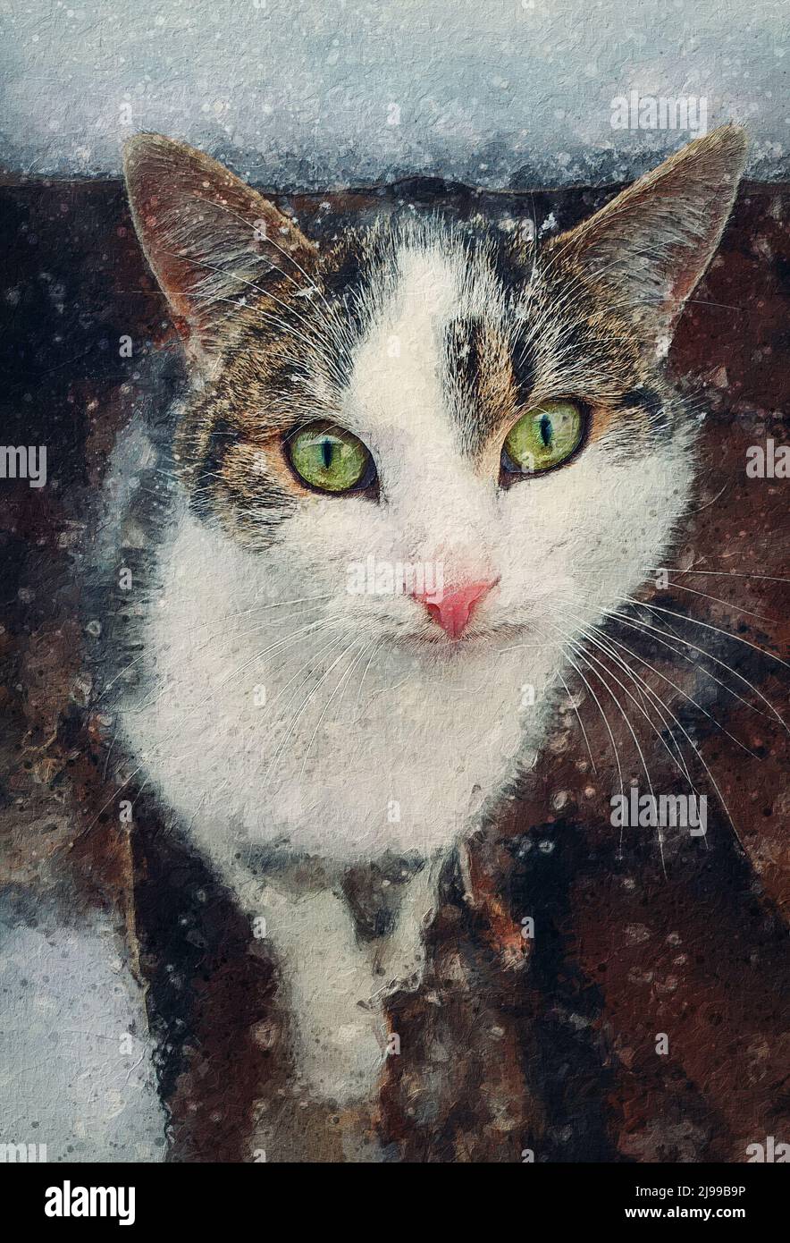 Tableau de portrait de chat. Gros plan chatons à l'extérieur, à l'abri de la neige. Beau visage de chaton, yeux merveilleux. Animaux de compagnie à l'extérieur, neige en hiver Banque D'Images