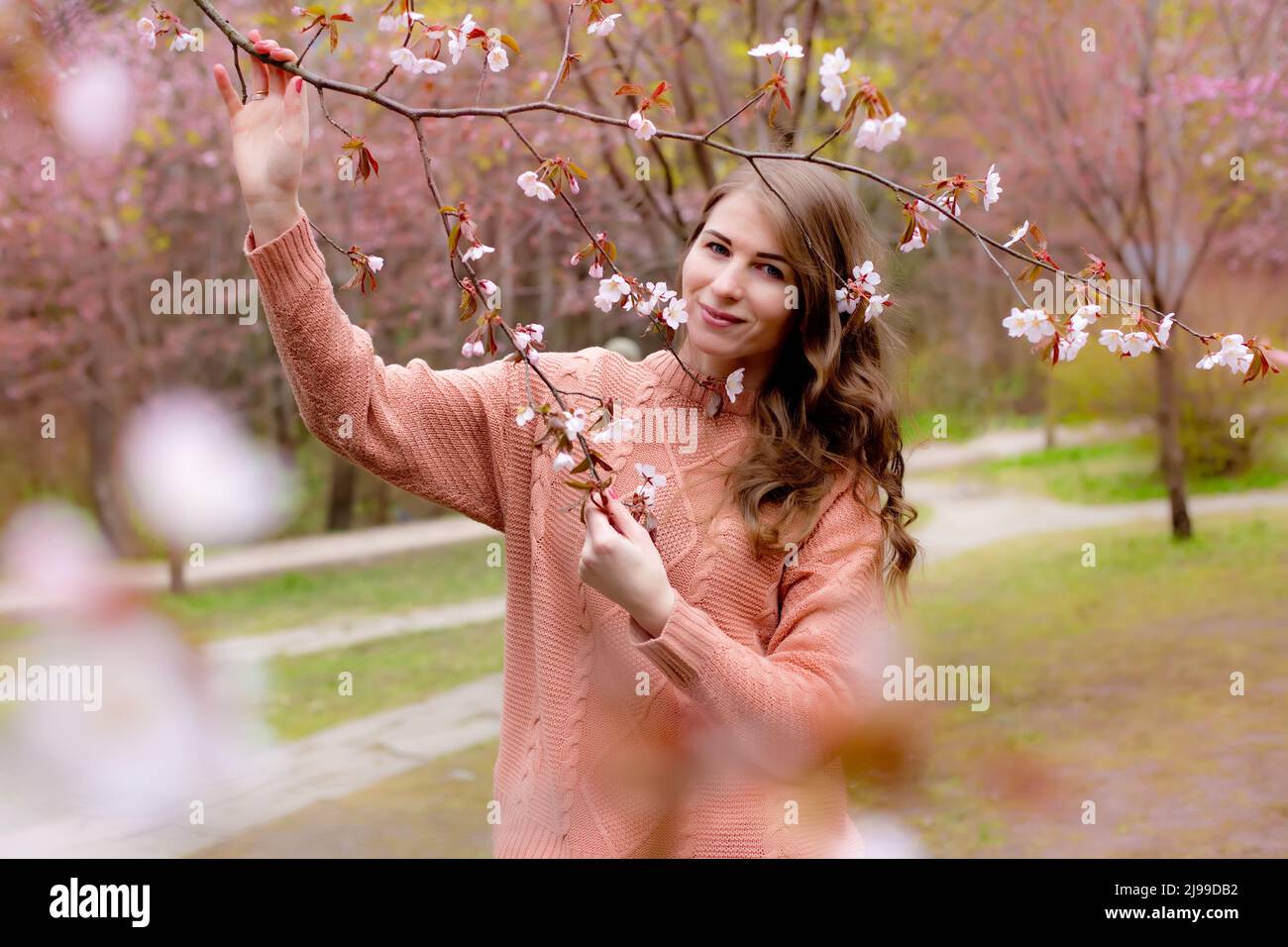 Jolie femme debout sous la branche de fleur rose Sakura Banque D'Images