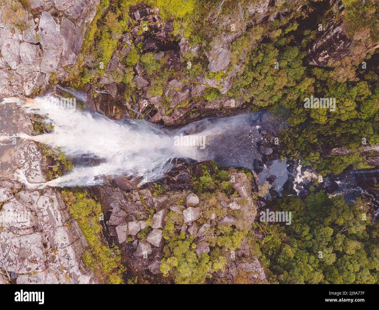 Carrington Falls, située dans les Highlands du sud de la Nouvelle-Galles du Sud, en Australie. Banque D'Images