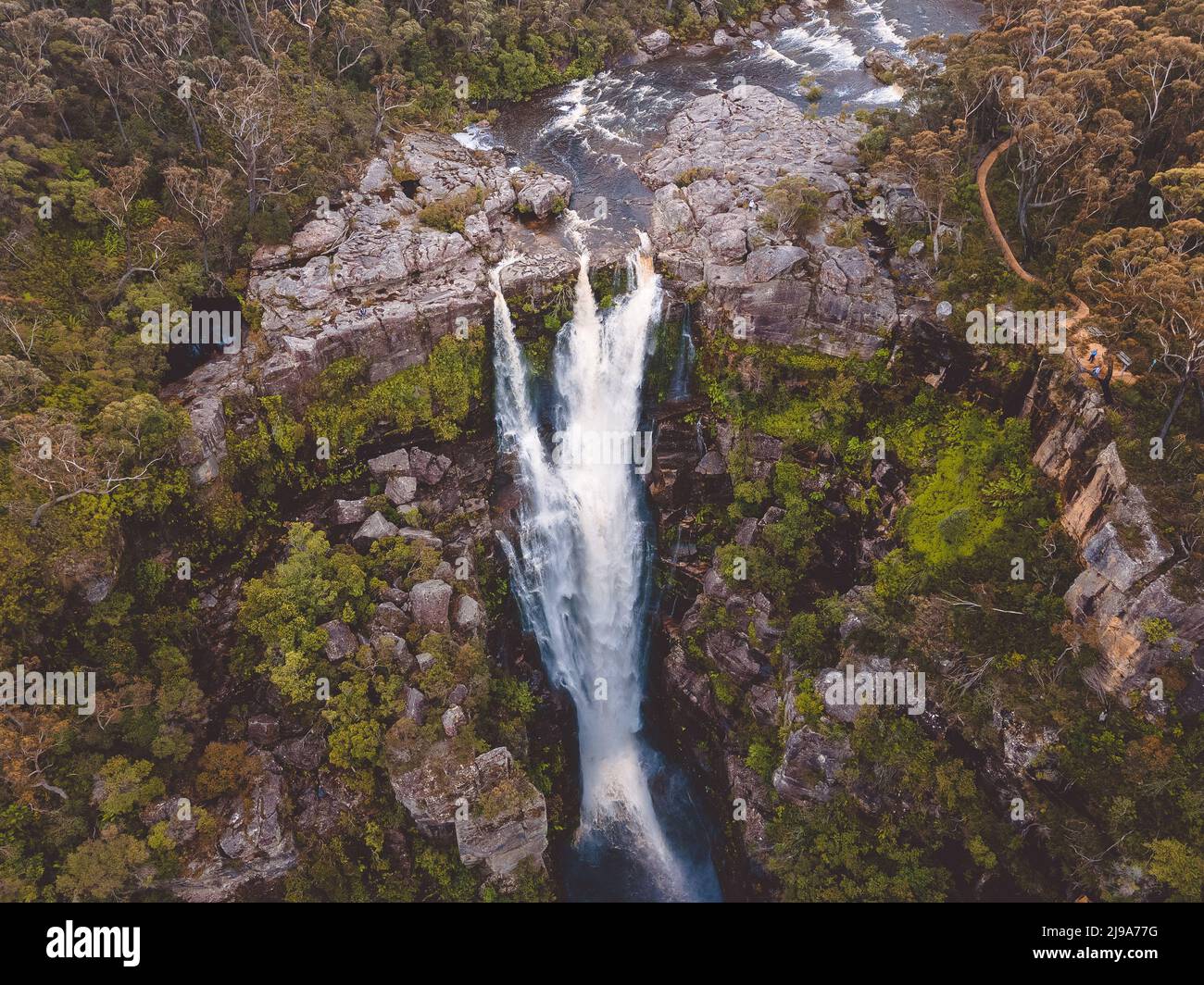 Carrington Falls, située dans les Highlands du sud de la Nouvelle-Galles du Sud, en Australie. Banque D'Images