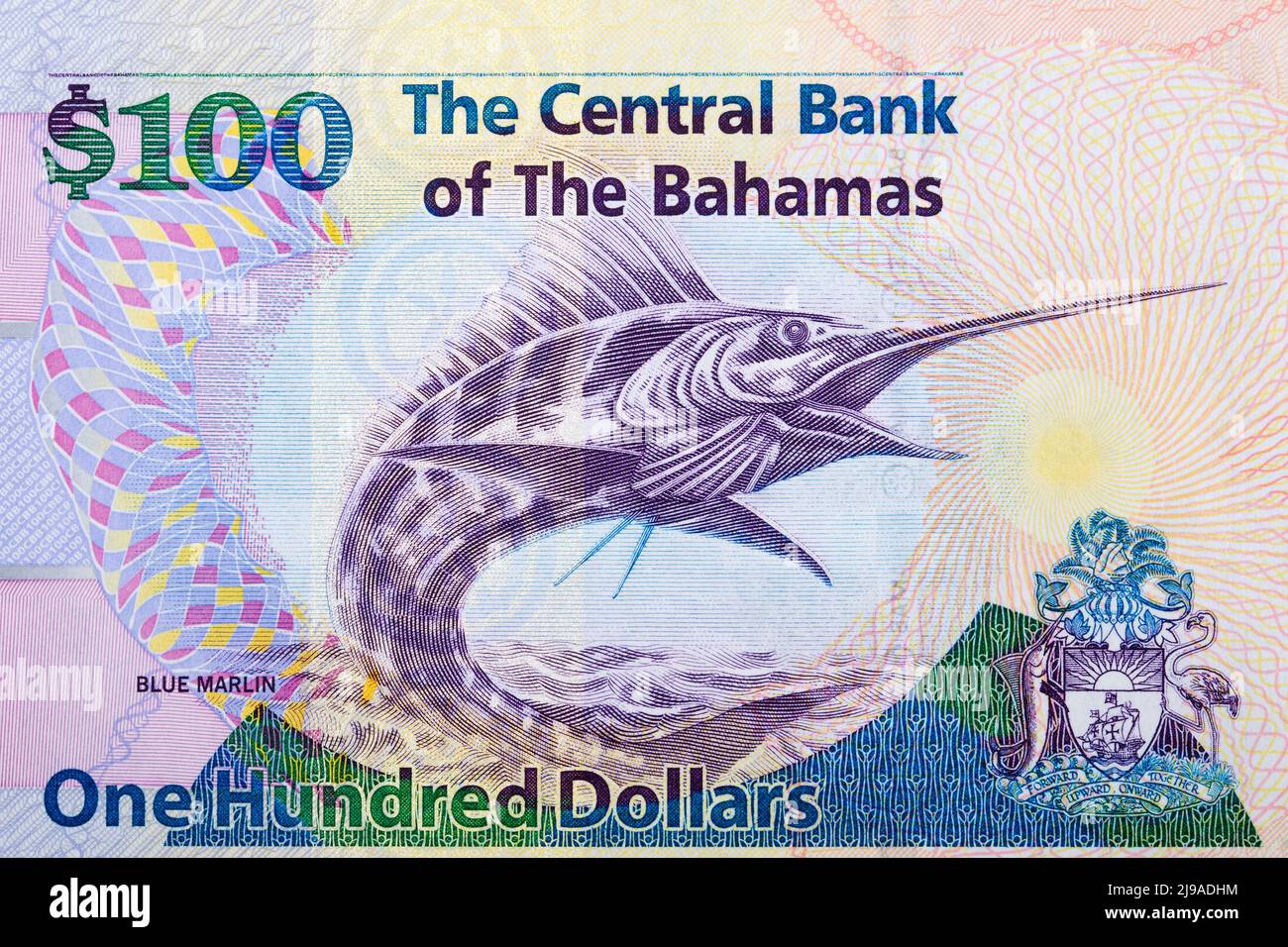 Bleu Marlin de l'argent bahamien - dollars Banque D'Images