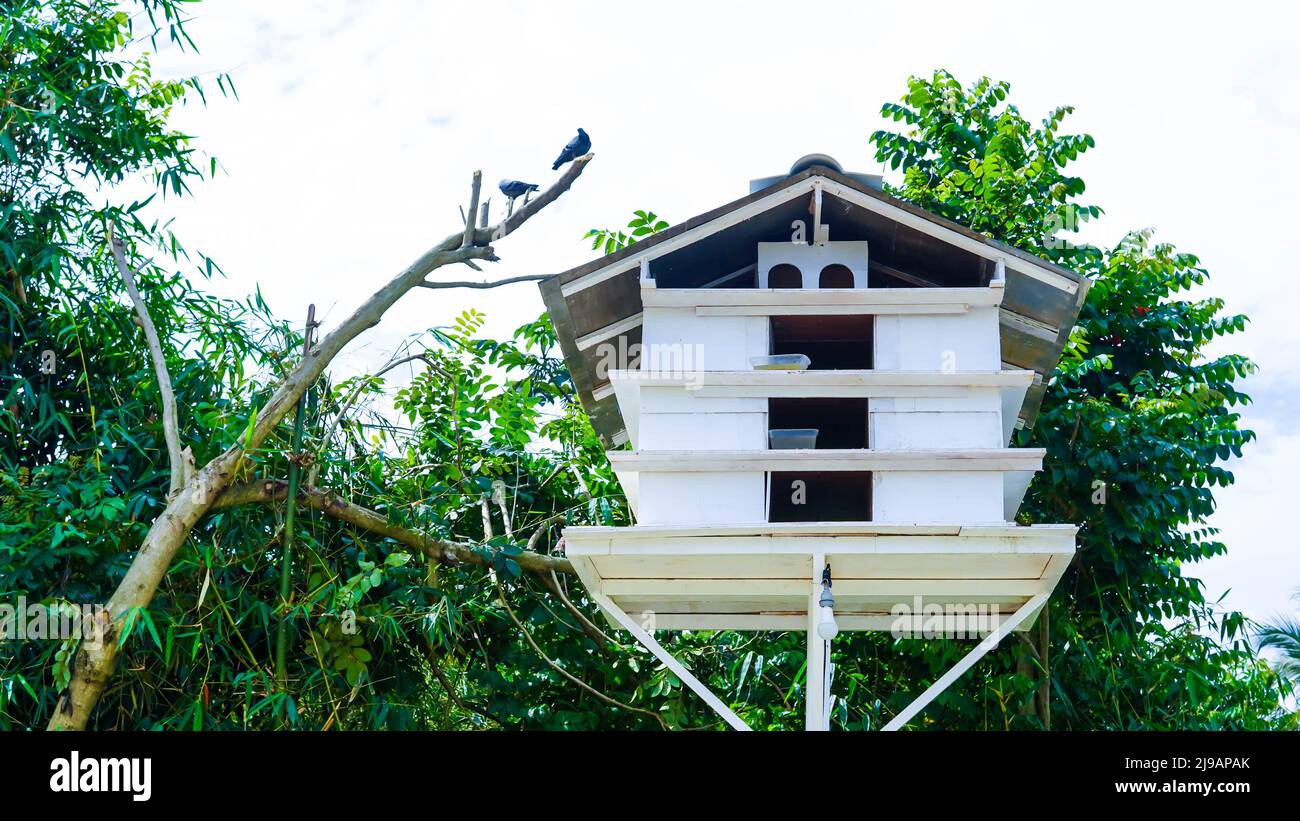 Bogor, West Java 21th Mei 2022 Belle maison de piegon à la colline Banque D'Images