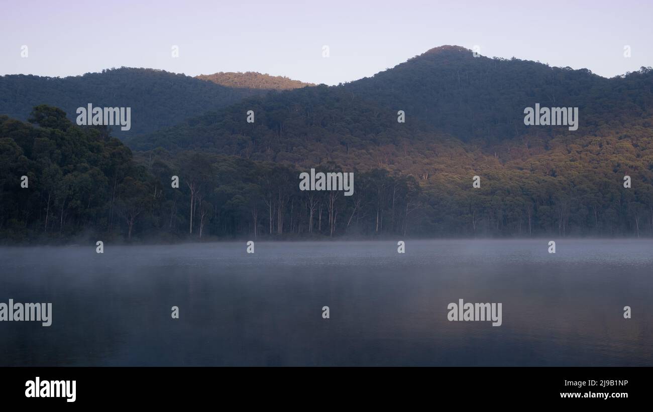 Une matinée brumeuse au barrage William Hovell sur la rivière King, Victoria, Australie Banque D'Images