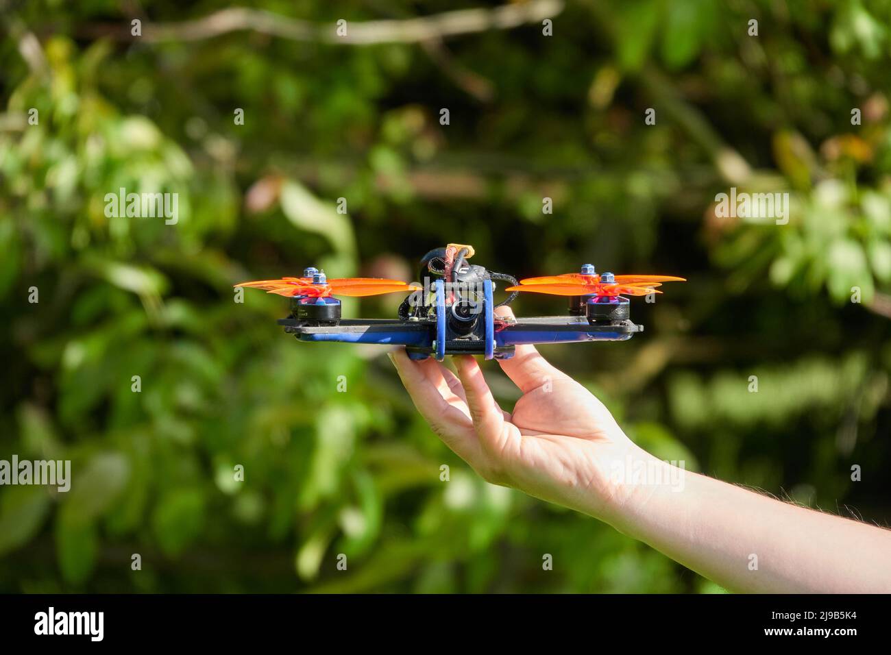 Le drone noir également quad de course, avec hélice orange, est tenu par les mains humaines. Herbe floue en arrière-plan. Allemagne. Banque D'Images