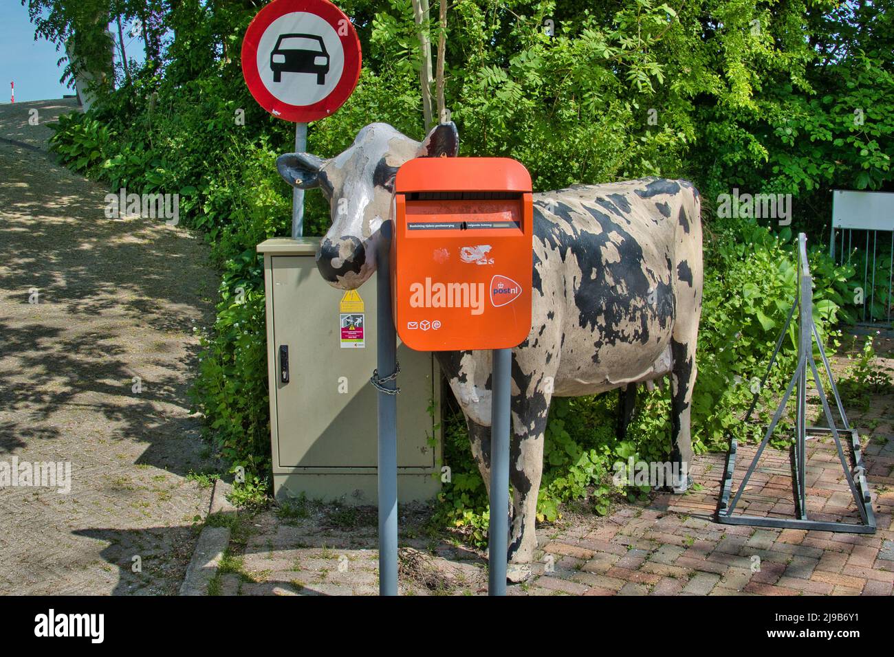 Statue plutôt négligée d'une vache regardant de derrière une boîte aux lettres Banque D'Images