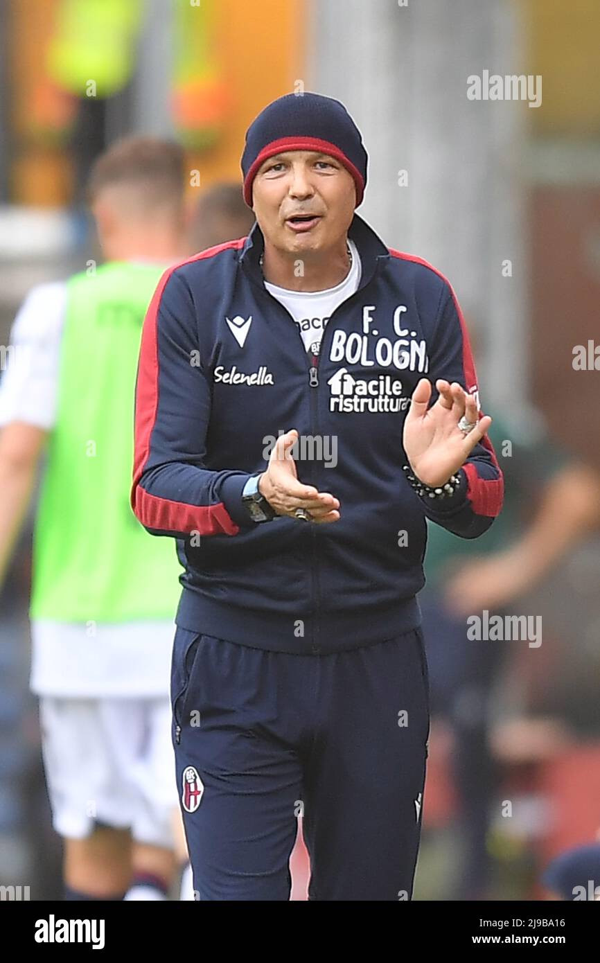 Foto Tano Pecoraro/Lapresse 21 Maggio 2022 - Genova, Italia Sport, CalcioGênes vs Bologne - Campionato italiano di calcio série A TIM 2021/2022 - Stadio Luigi FerrarisNella foto: MihajlovicPhoto Tano Pecoraro/Lapresse 21 mai 2022 - Gênes, Italie Sport, football Gênes vs Bologne - Championnat italien de football série A 2021/2022 - Luigi Ferraris StadiumDans la photo: mihajlovic Banque D'Images