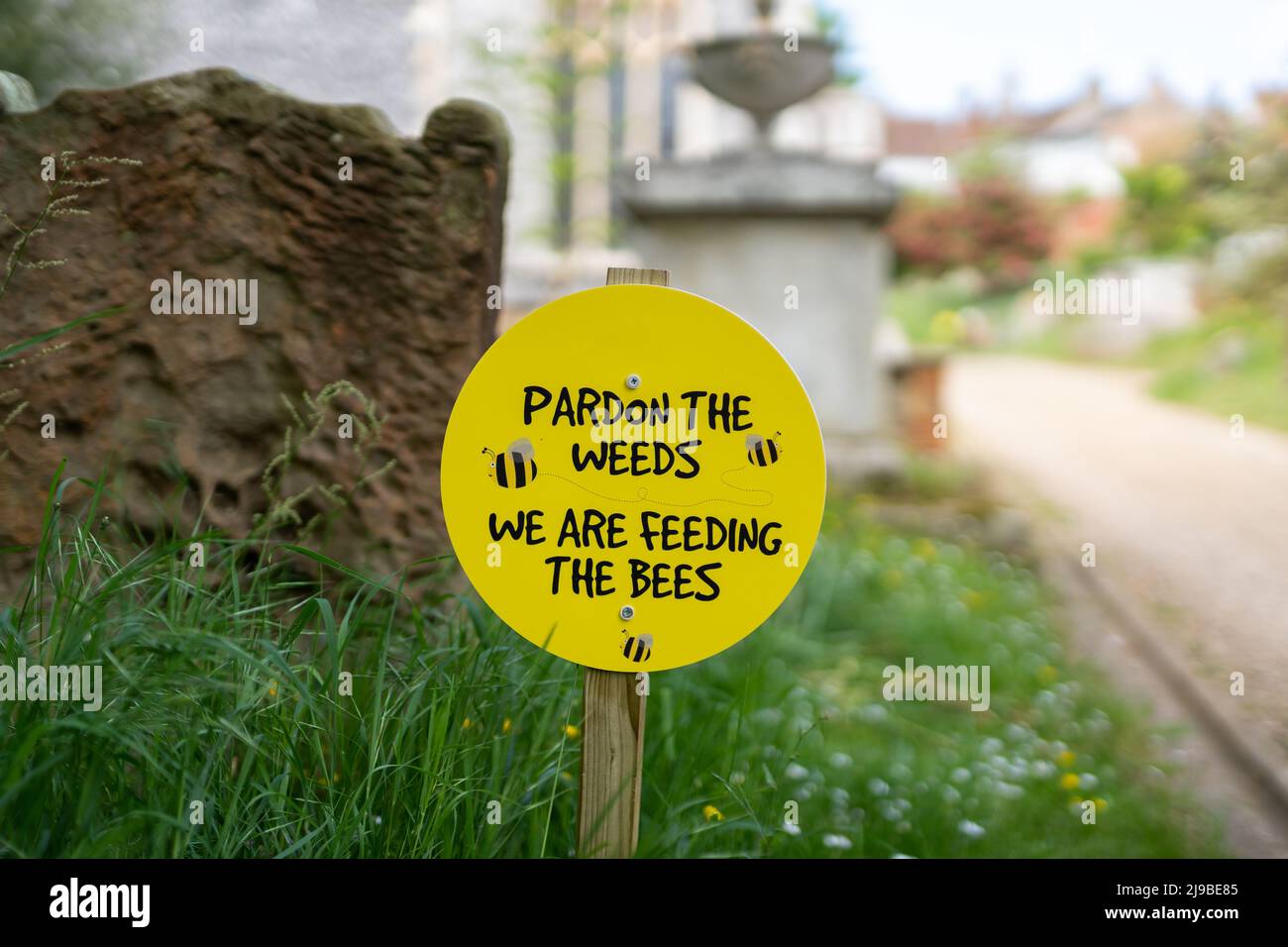 Pardon les mauvaises herbes, nous nourrissons le signe des abeilles placé entre les fleurs sauvages dans une cour d'église Banque D'Images