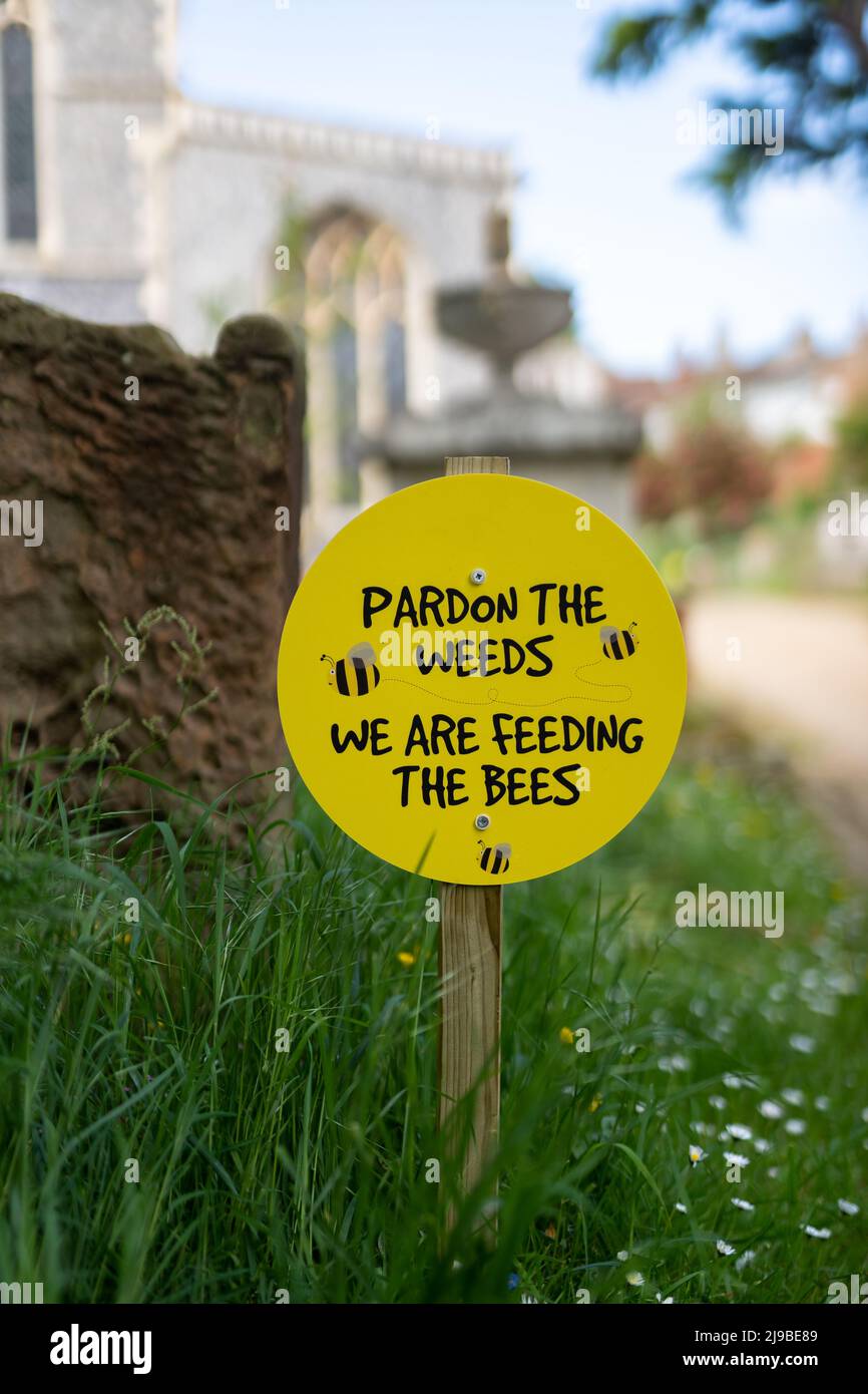 Pardon les mauvaises herbes, nous nourrissons le signe des abeilles placé entre les fleurs sauvages dans une cour d'église Banque D'Images