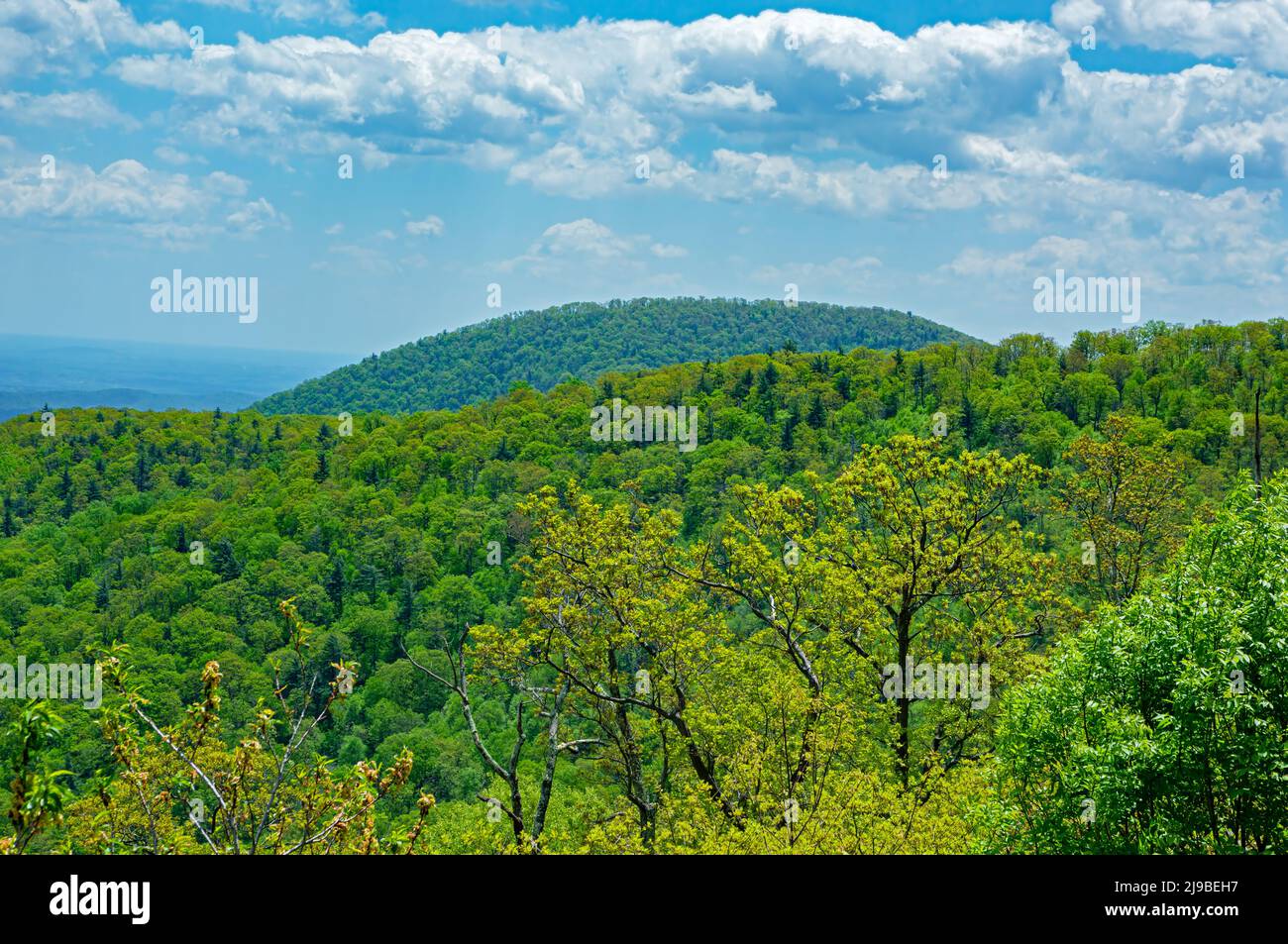 Vue panoramique dans le parc national de Shenandoah, Virginia USA Banque D'Images