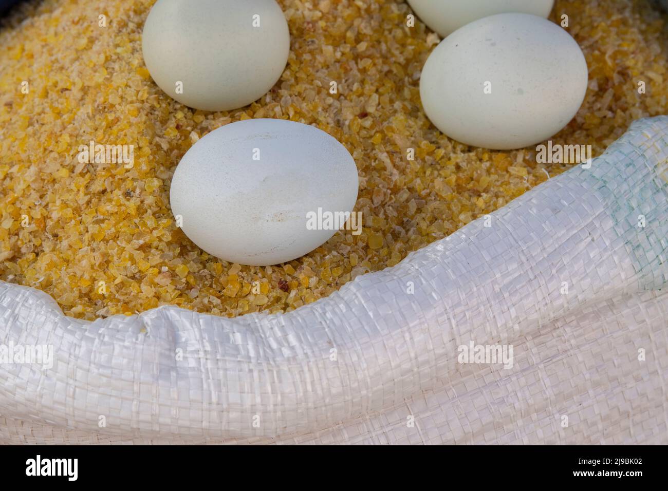 Equateur, Quito, Otavalo, marché agricole. Oeufs secs de maïs craquelés. Banque D'Images