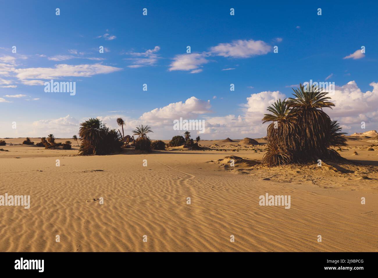 Vue sur le paysage de la zone protégée du désert blanc dans l'oasis de Farafra, Égypte Banque D'Images