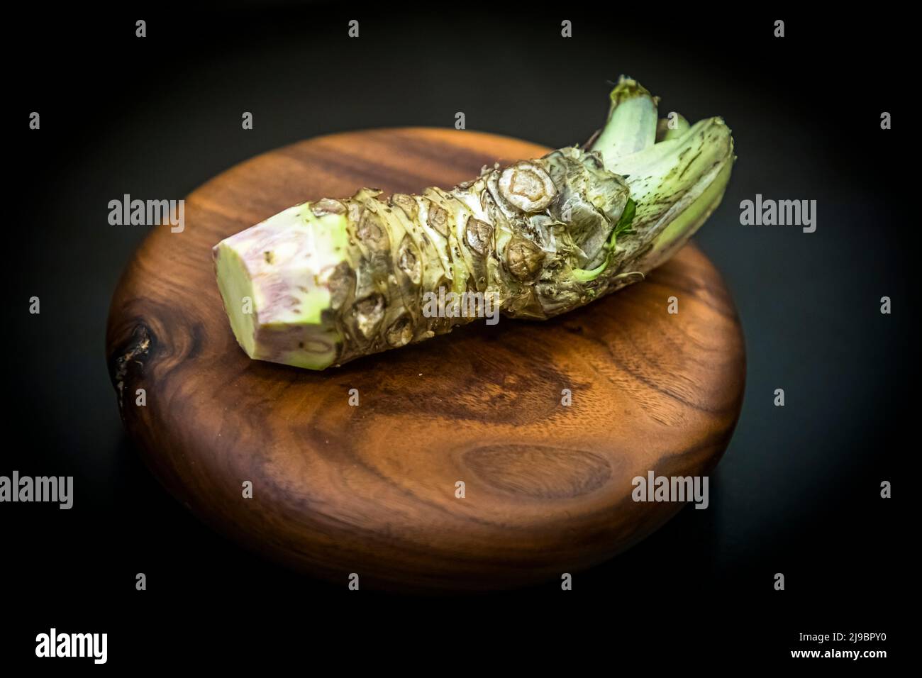 Tige de Wasabi pelée. Les chefs apprécient les nombreuses utilisations et les effets d'équilibre du wasabi frais. Ici, le chef Runar Pierre du restaurant Öx de Reykjavik prépare un dessert Banque D'Images