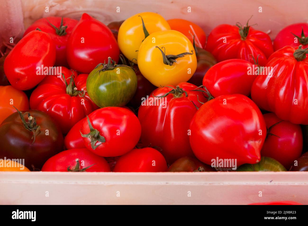 Tomates colorées Banque D'Images
