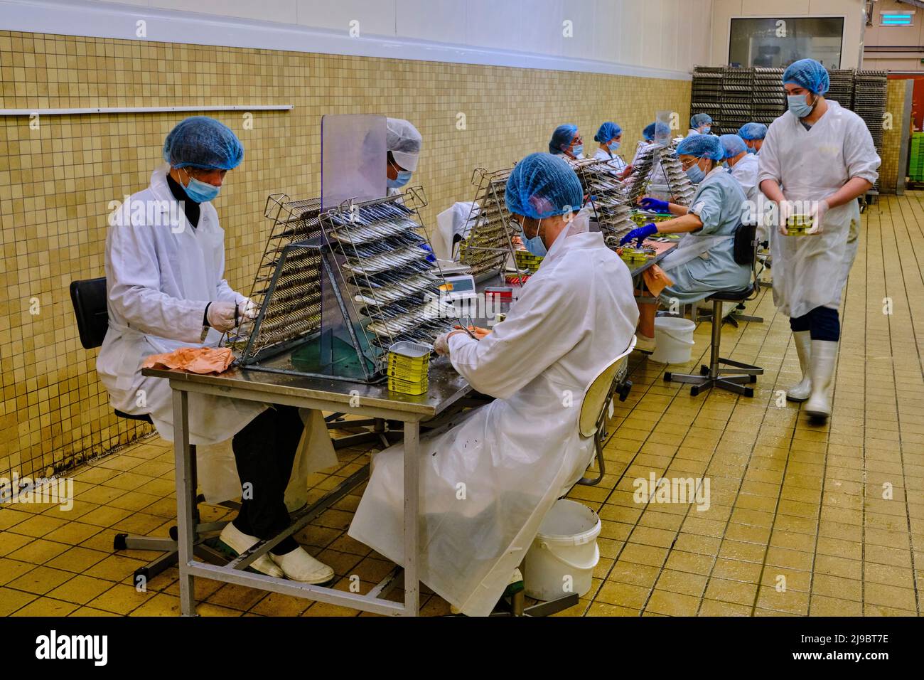 France, Morbihan (56), Quiberon, la canons de sardine de la Quiberonnaise Banque D'Images