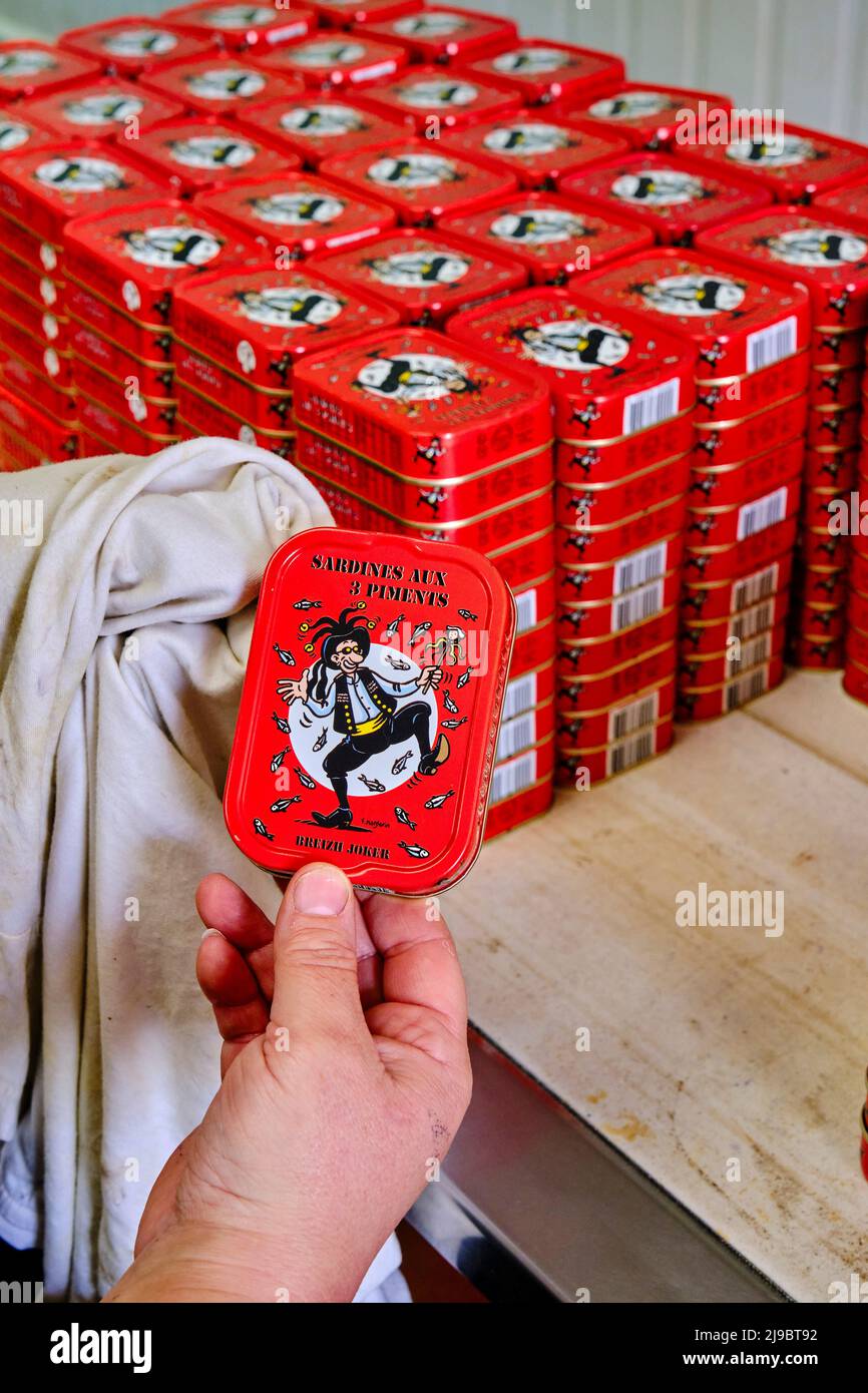 France, Morbihan (56), Quiberon, la canons de sardine de la Quiberonnaise Banque D'Images