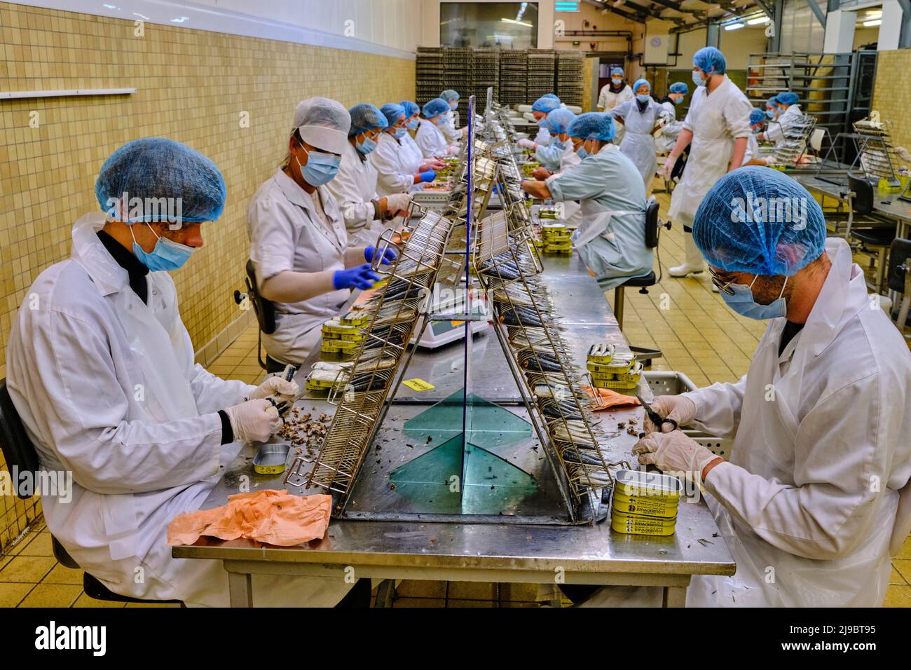 France, Morbihan (56), Quiberon, la canons de sardine de la Quiberonnaise Banque D'Images