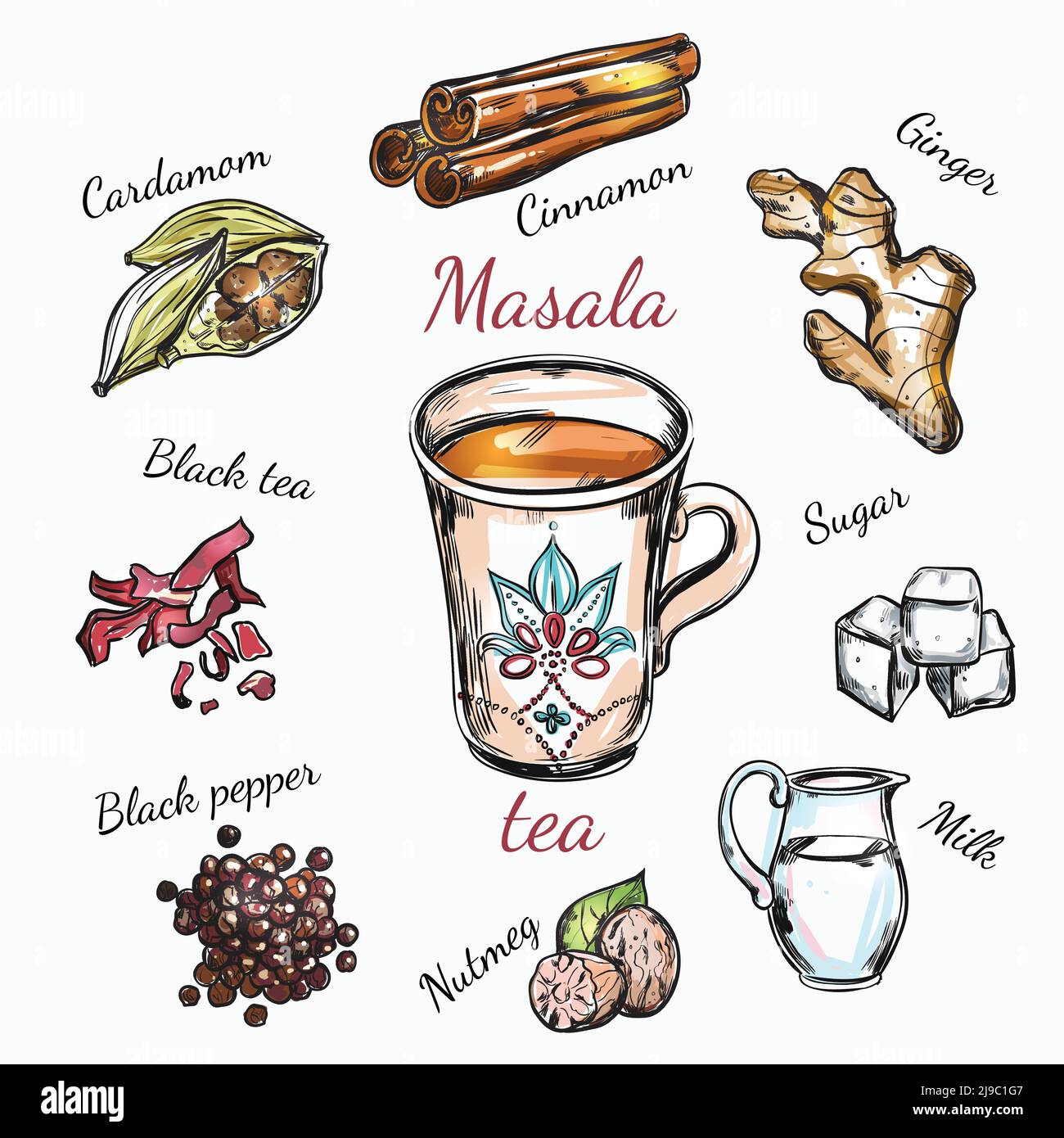 Composition de recettes d'épices indiennes avec ensemble d'épices isolées et recette de l'illustration du vecteur de thé masala Illustration de Vecteur