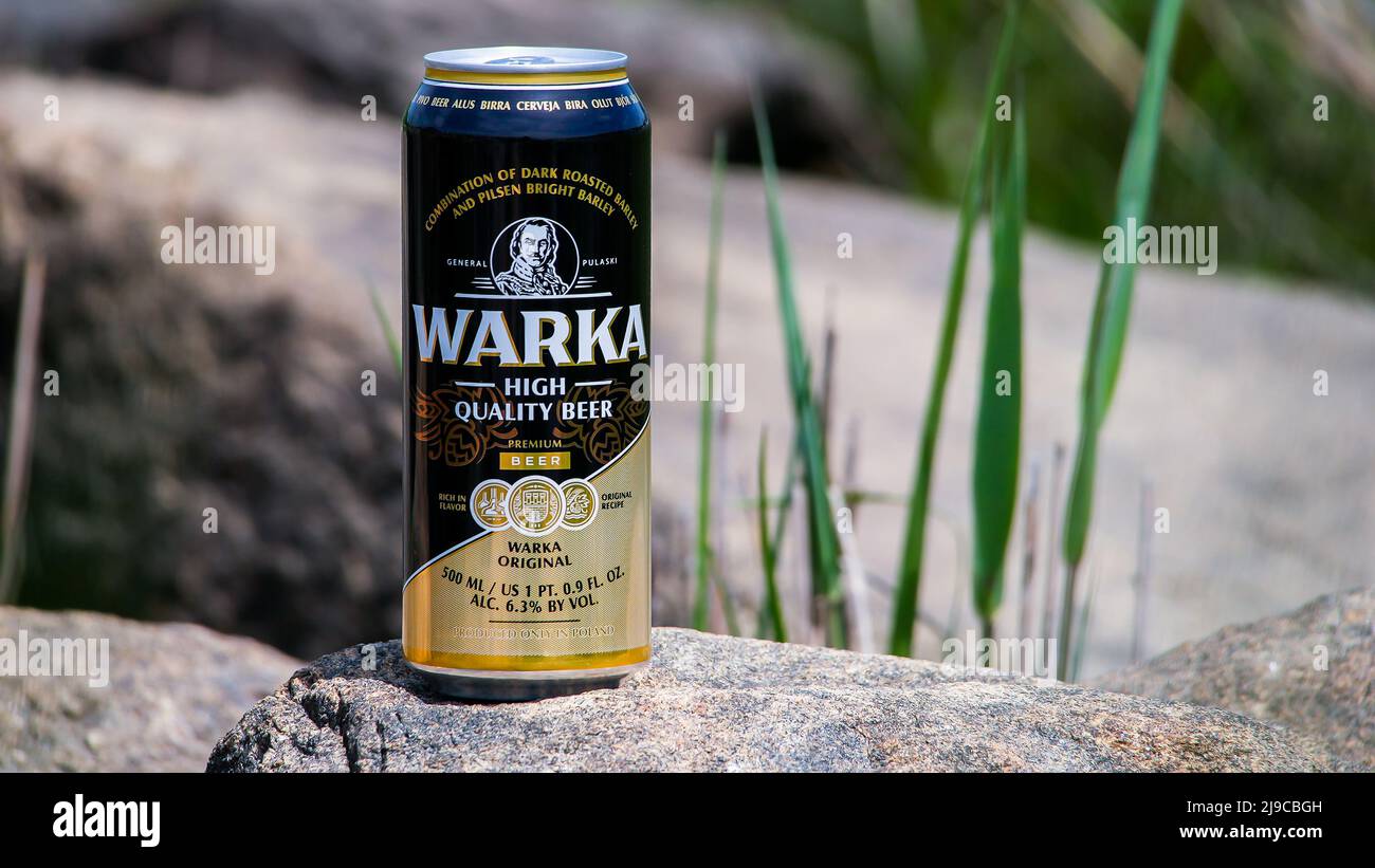 NORWALK, CT, USA - 18 MAI 2022 : canette avec bière Warka produite uniquement en Pologne Banque D'Images
