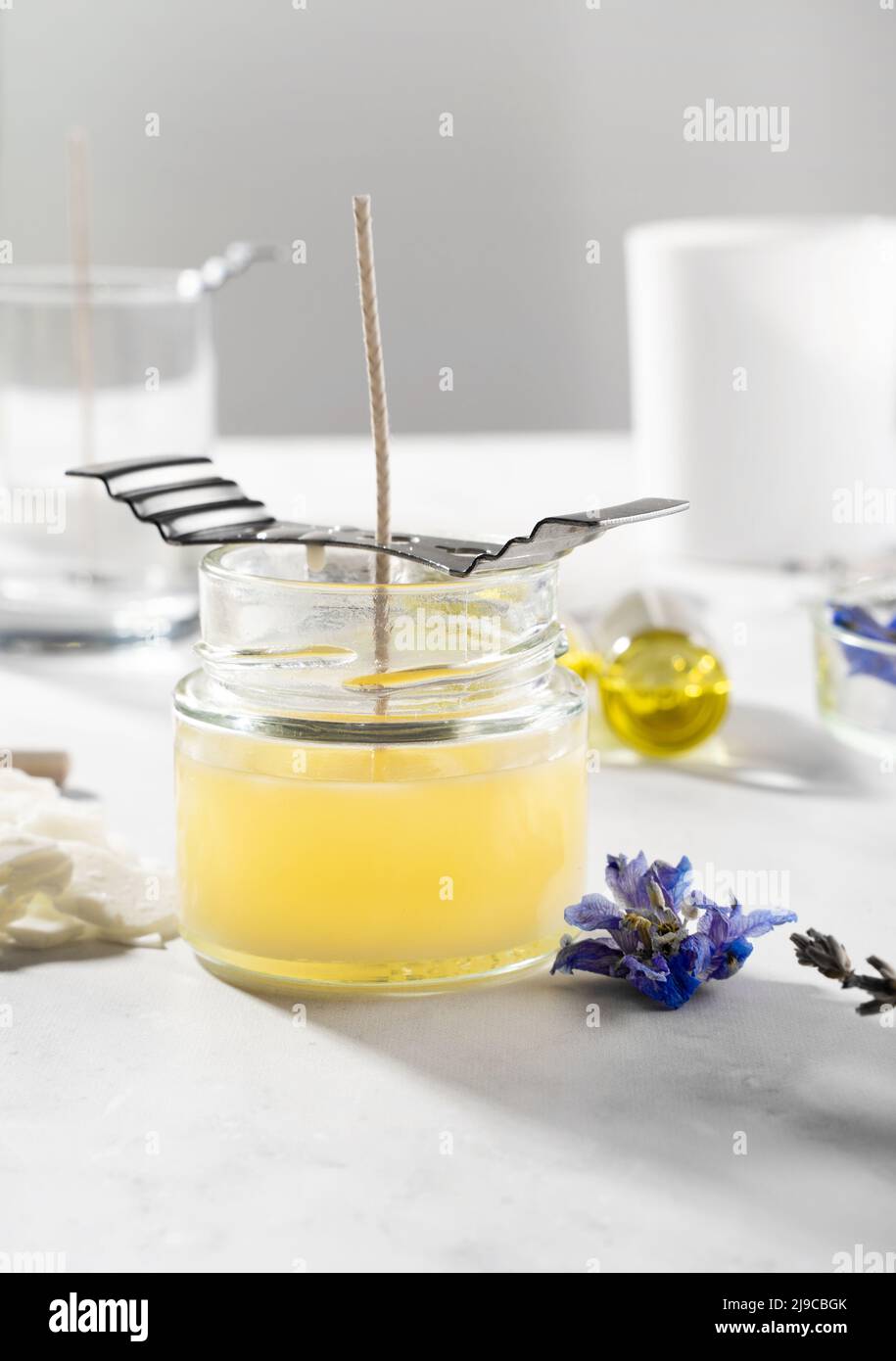 Cire De Soja En Perles PURESPA - 850g, Écologique Pour Bougies Et Cosmétiques - Brûlure Lente, Parfum Neutre