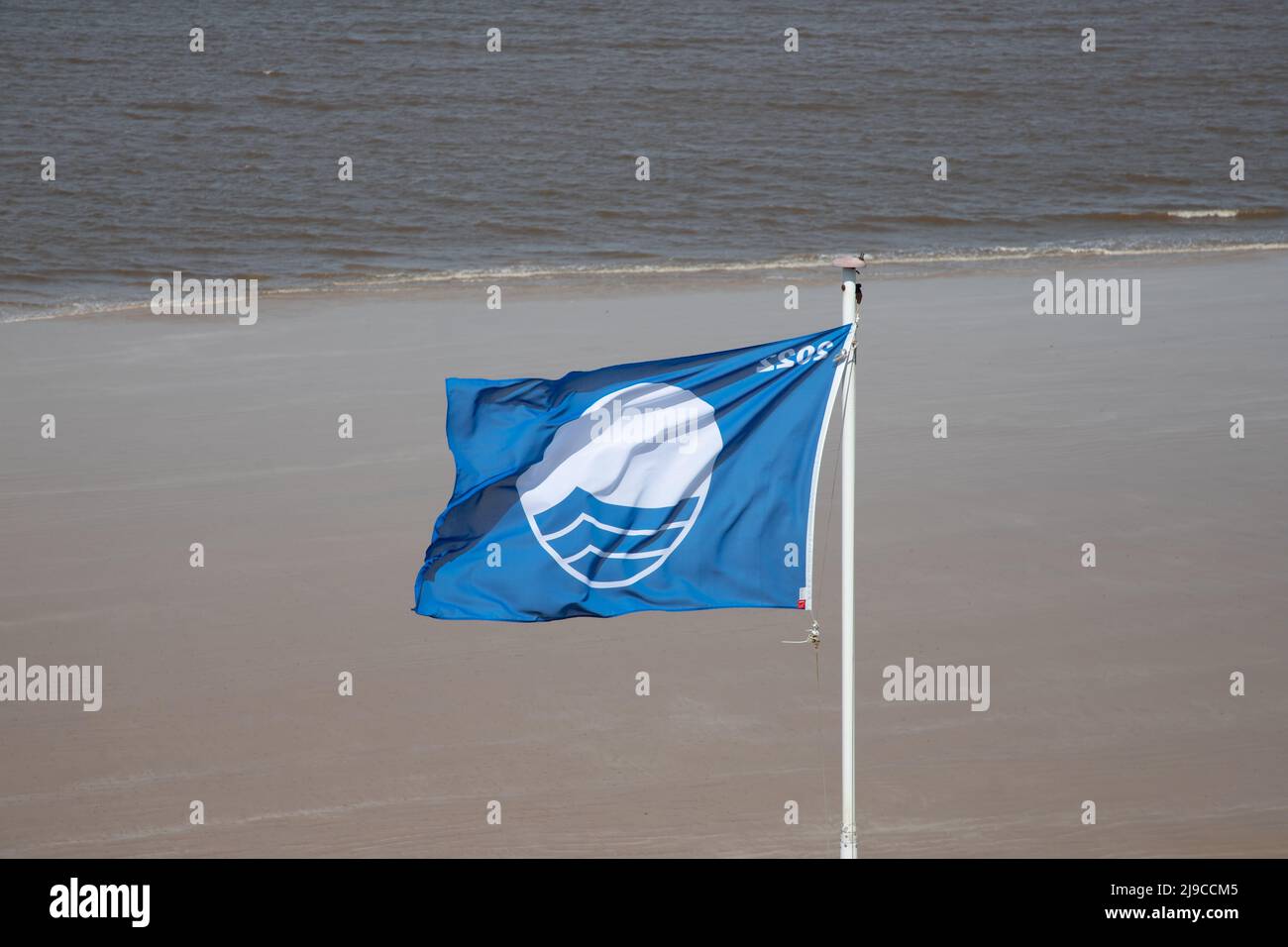 Prestigieux drapeau bleu volant sur Sheringham Beach à North Nofolk, Royaume-Uni, lors d'une journée de printemps venteuse Banque D'Images