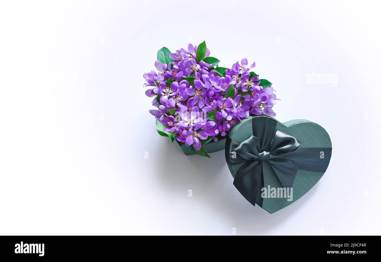 Boîte cadeau et bouquet en forme de coeur. Fleurs un cadeau en forme de coeur. Fleurs dans un coeur de boîte sur fond bleu. Concept de vacances. Banque D'Images