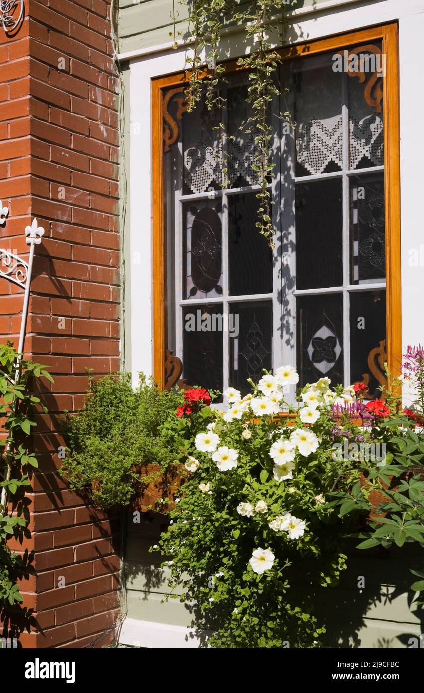 Cheminée en briques rouges et fenêtre sur le côté de l'ancienne maison de style Canadiana vers 1900 avec placage en bois vert olive en été. Banque D'Images